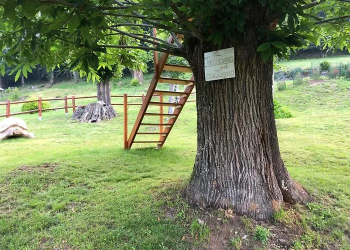 2 Cuori E Un Bed and breakfast