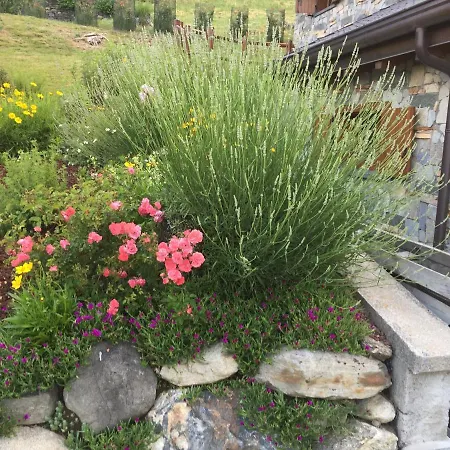 Bed & Breakfast 2 Cuori E Un Sueglio